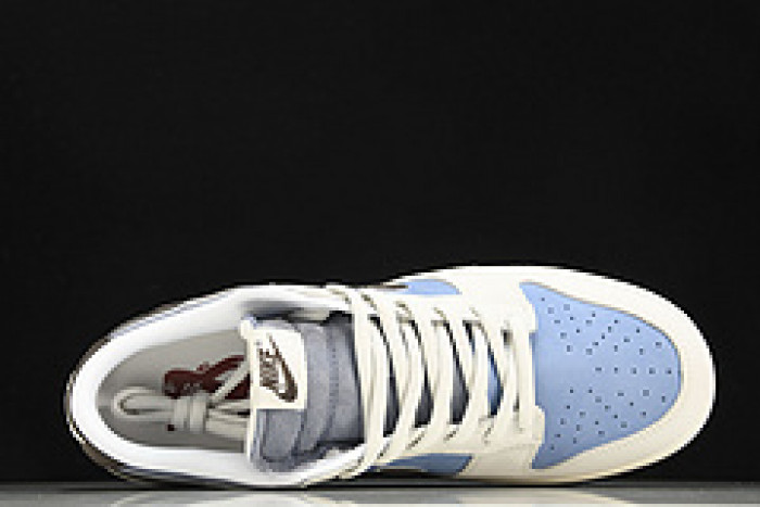 NK SB Dunk Low Pro Argentina AT2022-666