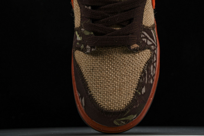 NIKE DUNK LOW PRO SB 304292-281