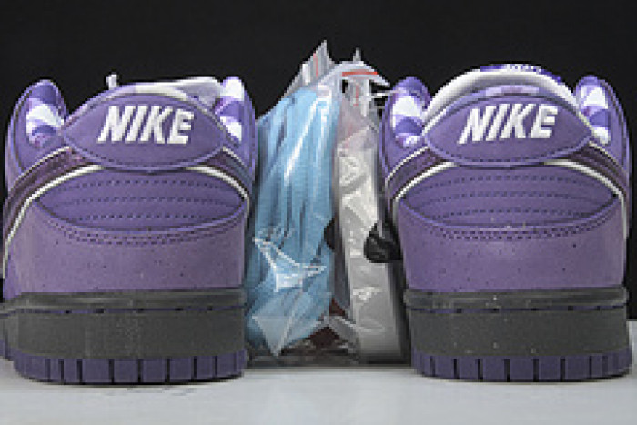 Nike SB Dunk Low Concepts Purple Lobster BV1310-555