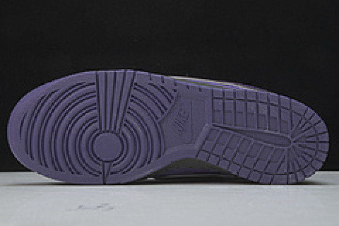 Nike SB Dunk Low Concepts Purple Lobster BV1310-555