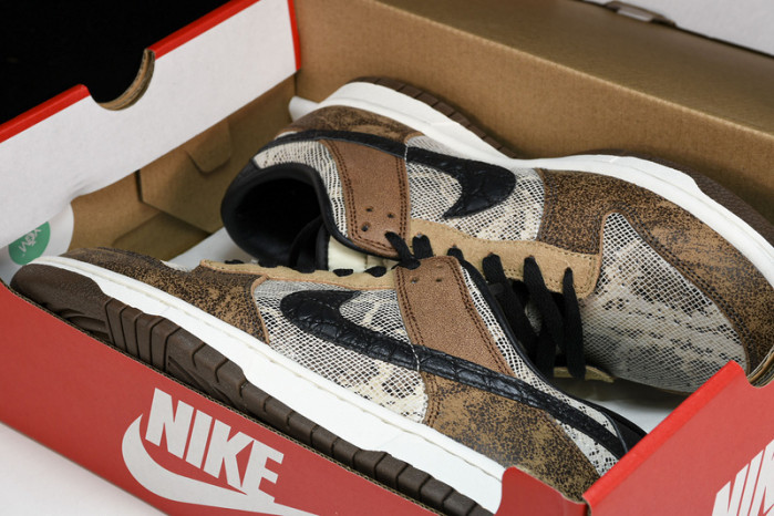 Nike Dunk Low CO.JP 2023 FJ5434-120