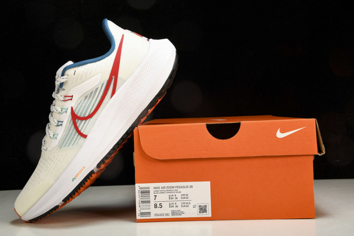 Nk Air Zoom Pegasus 39 FD4322-161
