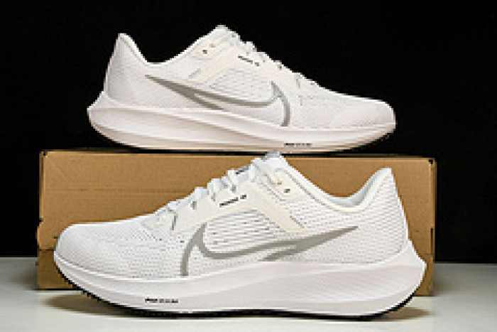 NK Air Zoom Pegasus 40 DV3853-102