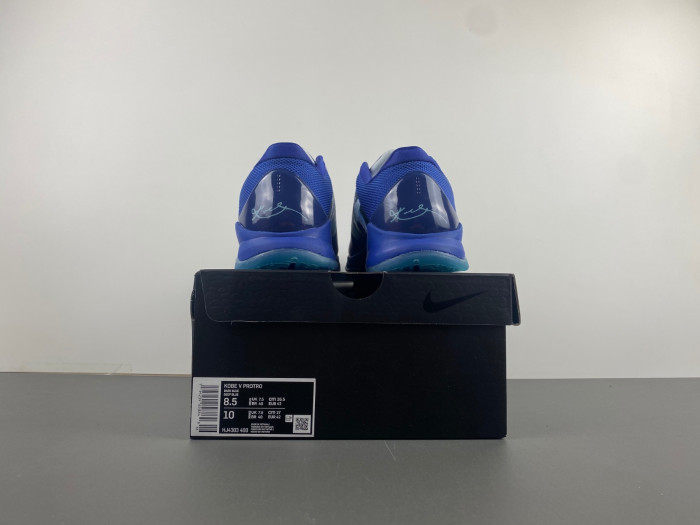 Nike Kobe 5 Protro “X-Ray”