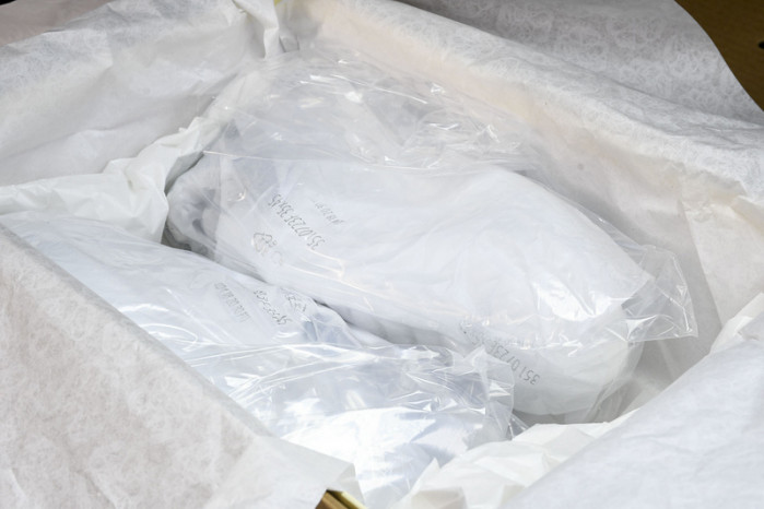 Alexander McQueen sneaker