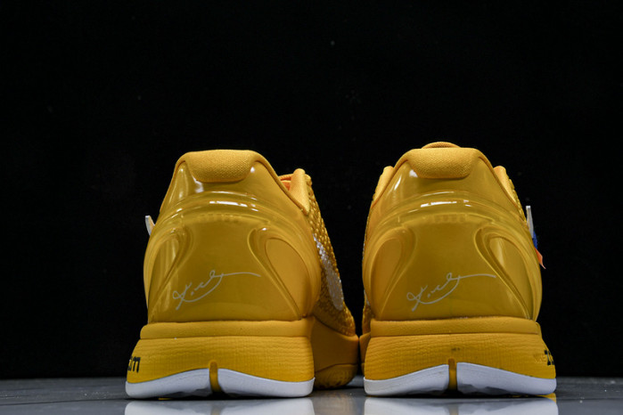 Nike Kobe 6 Protro CW2190-501