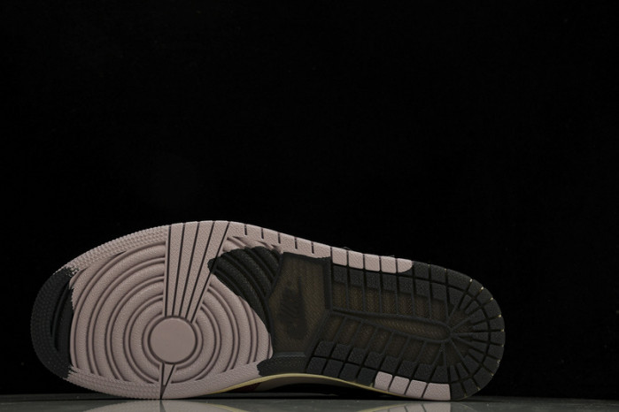 Air Jordan 1 DB2889-500V