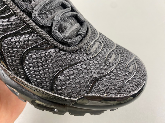 Nike Air Max Plu 604133-050