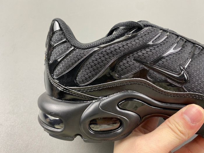 Nike Air Max Plu 604133-050