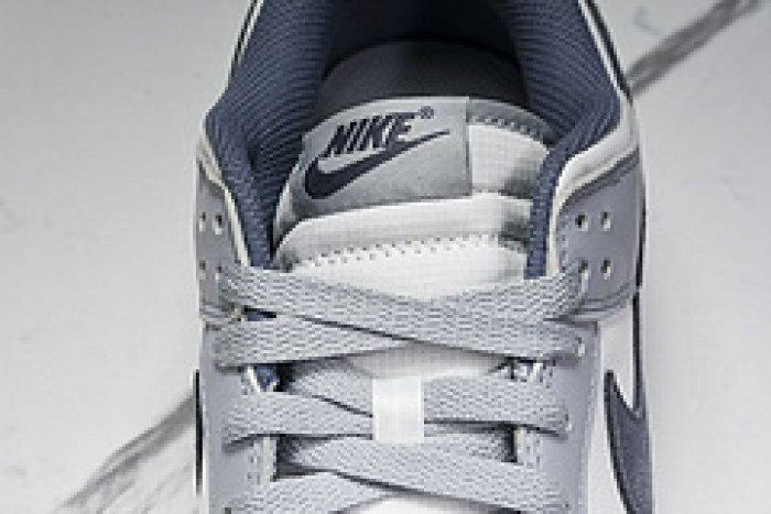 Nk Dunk Low "Light Carbon"​ FJ4188-100