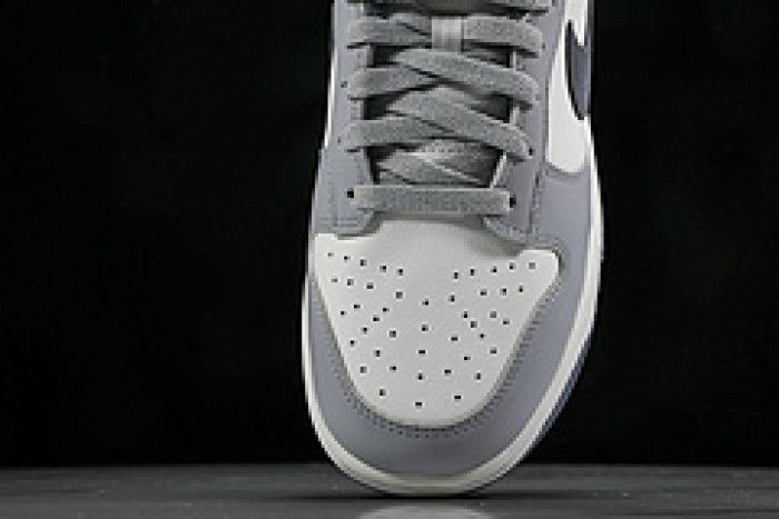 Nk Dunk Low "Light Carbon"​ FJ4188-100