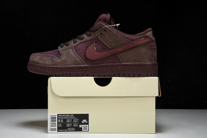 NK SB Dunk Low FN0619-600