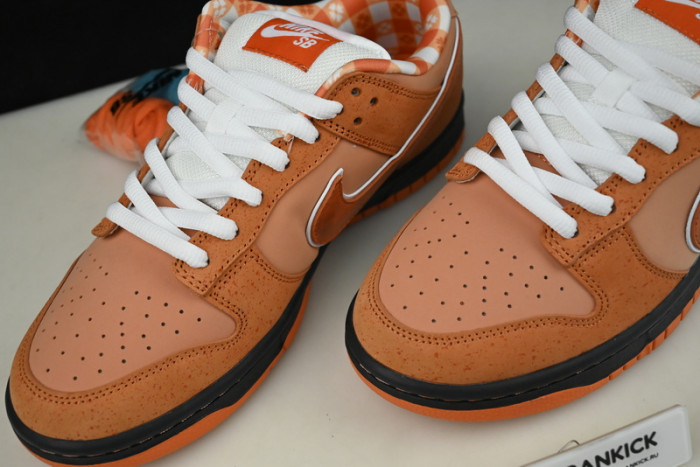 Concepts x Nike SB Dunk Low Orange Lobster FD8776-800