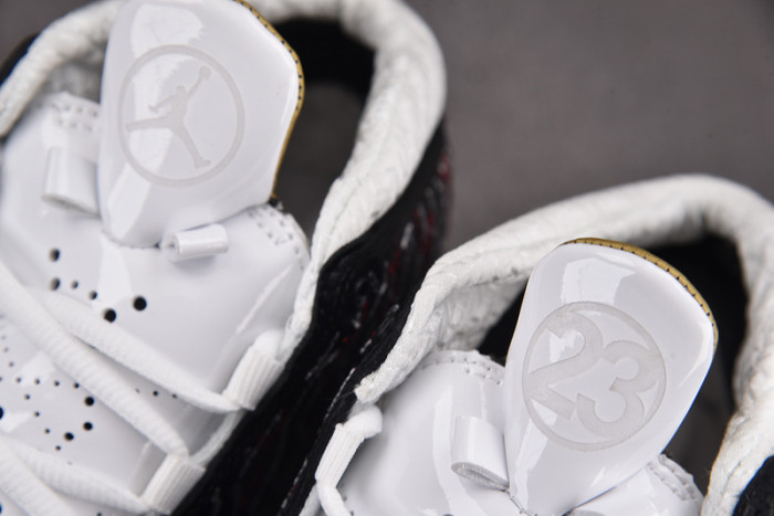 Titan x Air Jordan 23 318376-061